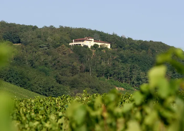 Auberge Les Hauts De Chenas